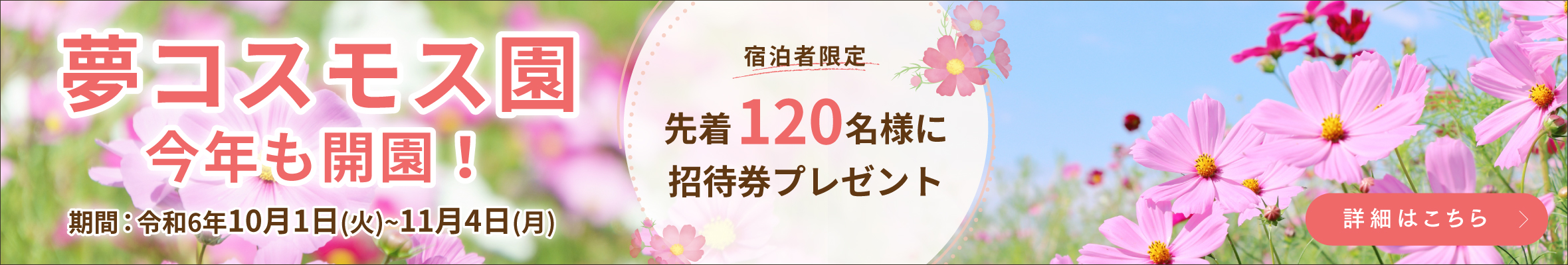 夢コスモス園開催のお知らせ